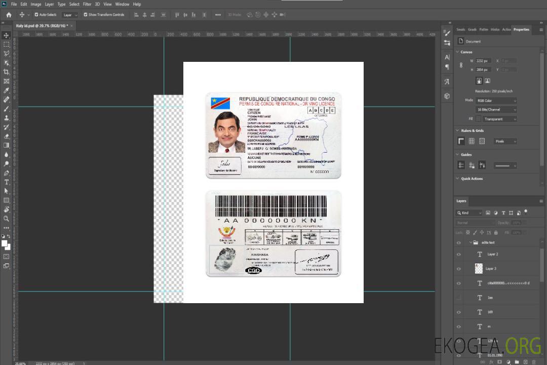Permis de conduire national congolais template Permis de conduire national congolais template